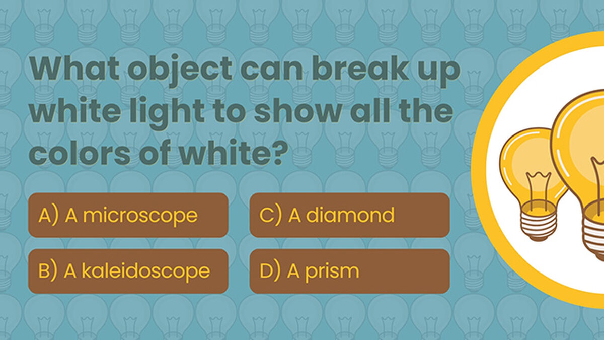 Light Trivia image number null
